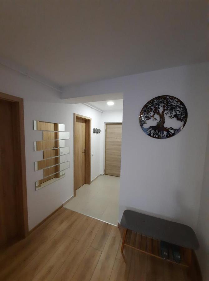 Sorin'S Comfortable Apartment Braşov Esterno foto
